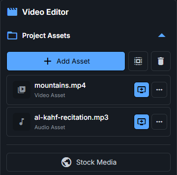 Project Assets panel with the Add Asset button and a list of imported files
